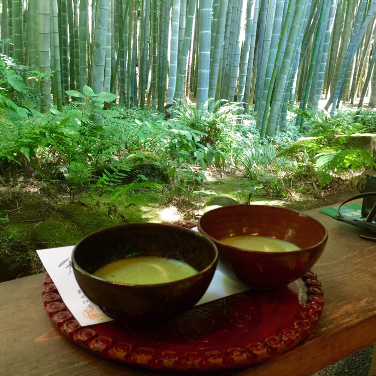 ピーマンさんの投稿 報国寺 ことりっぷ