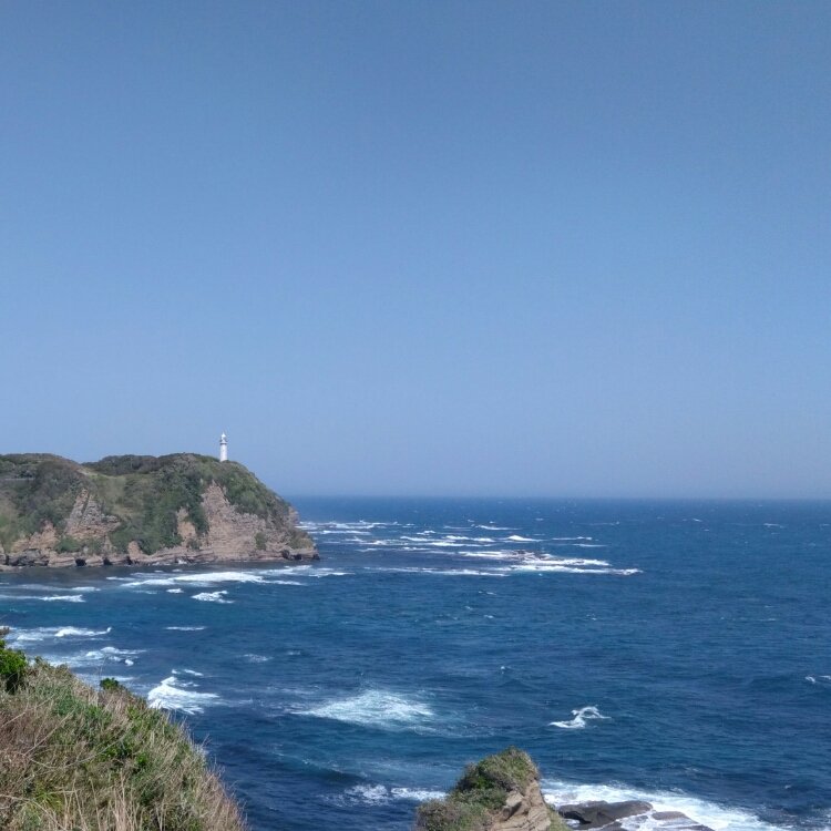 ぶらでぃ ぽさんの投稿 八幡岬公園 ことりっぷ