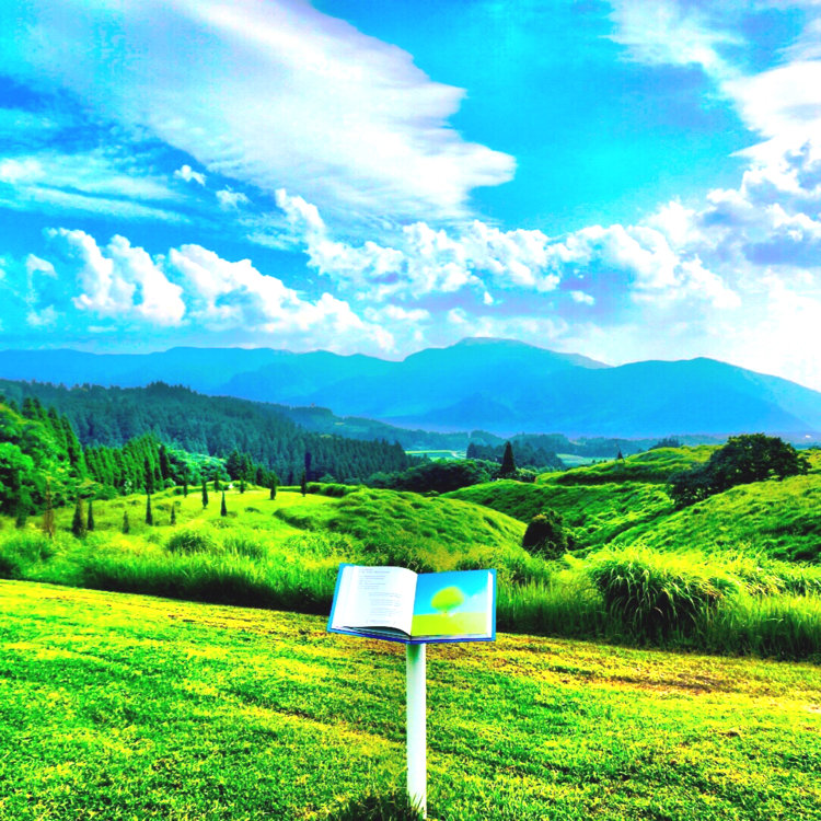 Yuriさんの投稿 熊本県阿蘇郡南阿蘇村河陽59 ことりっぷ