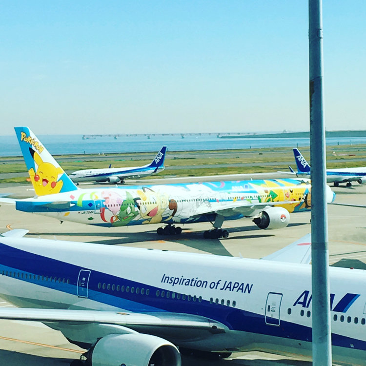 ゆーこ 彡 さんの投稿 羽田空港ターミナルビッグバード ことりっぷ