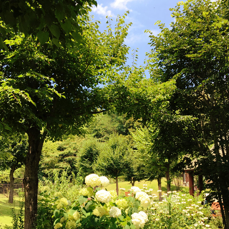 Jasminさんの投稿 鞍ケ池公園 ことりっぷ