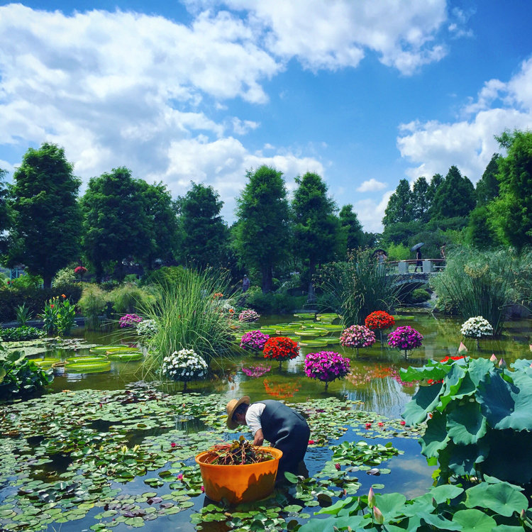 Yasuhiroさんの投稿 滋賀県草津市立水生植物公園みずの森 ことりっぷ