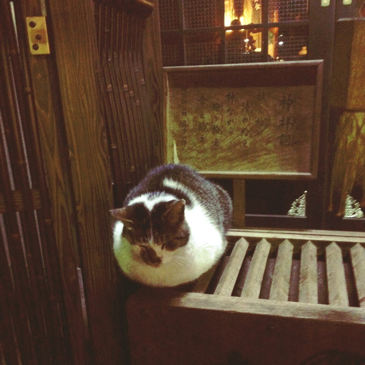 はまおさんの投稿 池袋駅前公園 ことりっぷ