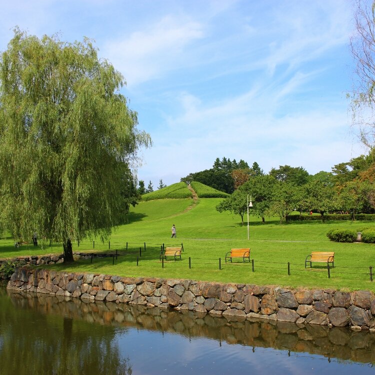 ぶらでぃ ぽさんの投稿 古河総合公園 古河公方公園 ことりっぷ