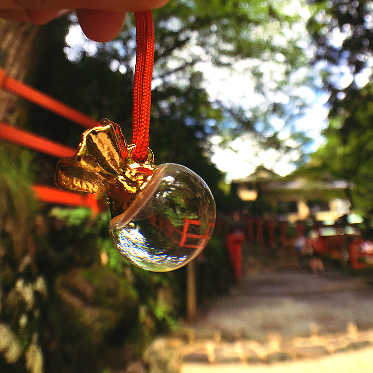 またたびさんの投稿 貴船神社 ことりっぷ