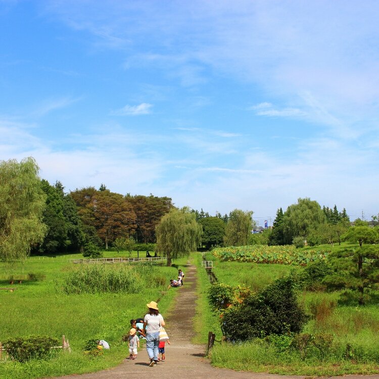 ぶらでぃ ぽさんの投稿 古河総合公園 古河公方公園 ことりっぷ