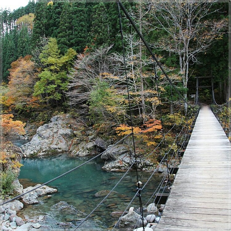 Ponさんの投稿 津南町 見倉橋 ことりっぷ