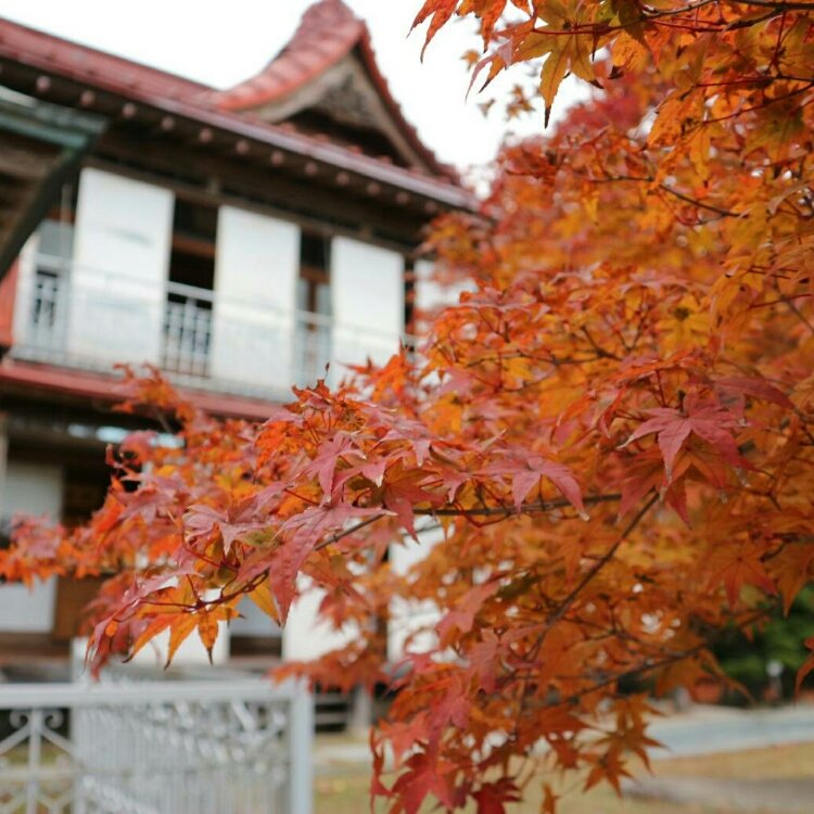 Sonomarniさんの投稿 花と歴史の郷 蛇の鼻 ことりっぷ