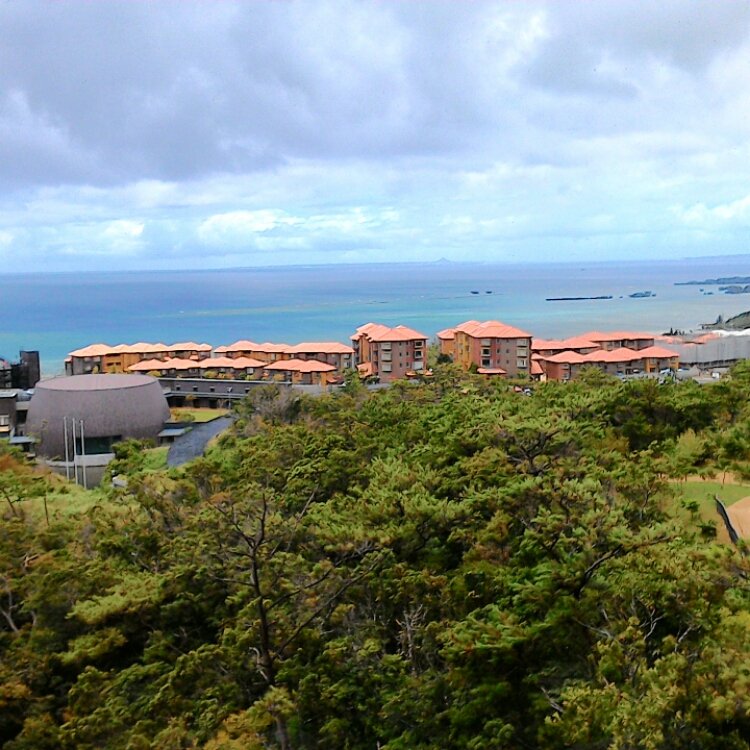 Nozomi さんの投稿 沖縄科学技術大学院大学 ことりっぷ