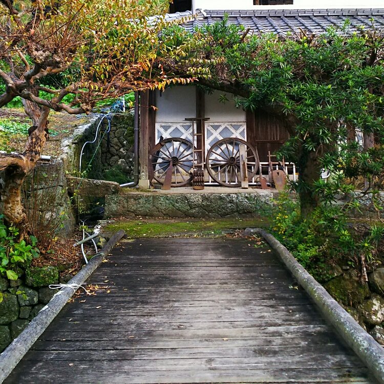 ゆきたかさんの投稿 花沢の里 ことりっぷ