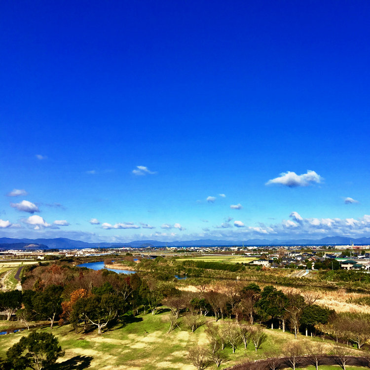 Nabetomanaさんの投稿 出水市ツル博物館クレインパークいずみ ことりっぷ