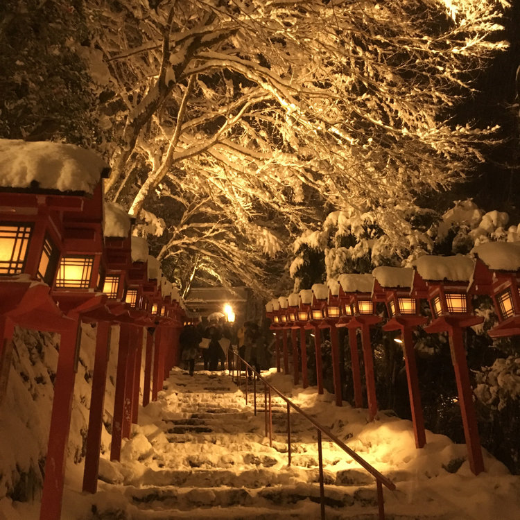 あいさんの投稿 貴船神社 夜の雪見特別参拝 積雪日限定ライトアップ ことりっぷ