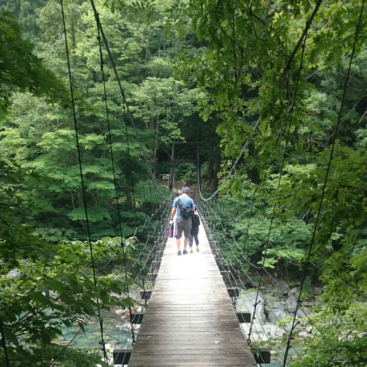 Haru さんの投稿 見倉橋 ことりっぷ