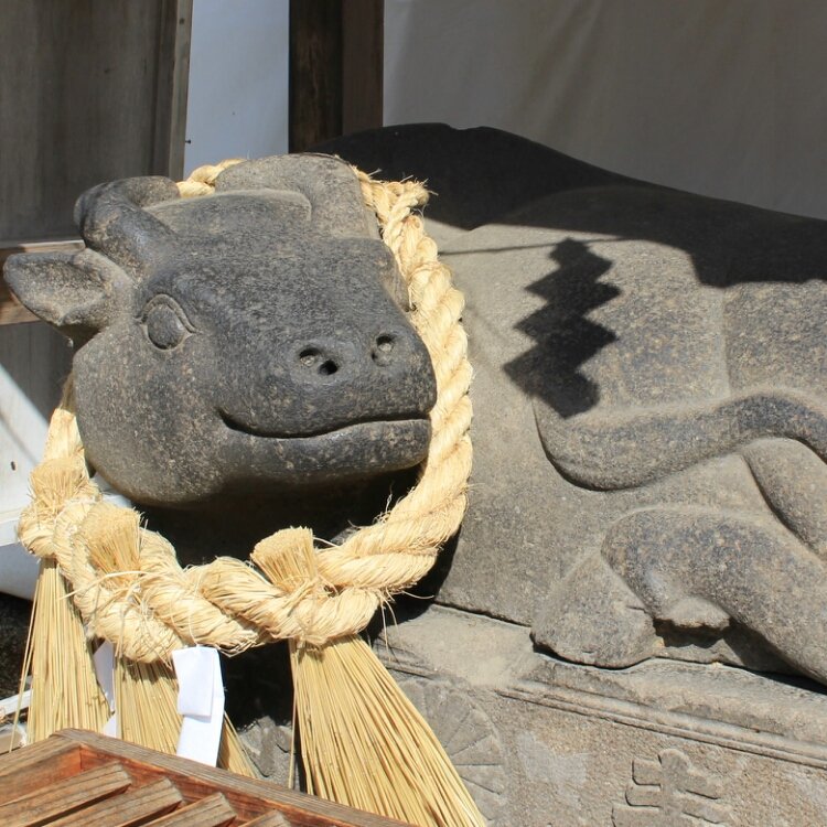 ひみ さんの投稿 鹽竈神社 ことりっぷ