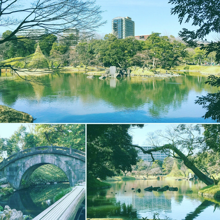 aoniyoshiさんの投稿/小石川後楽園 ｜ ことりっぷ