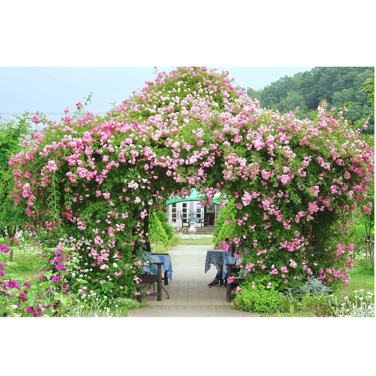 もこたさんの投稿 熊山英国庭園 ことりっぷ