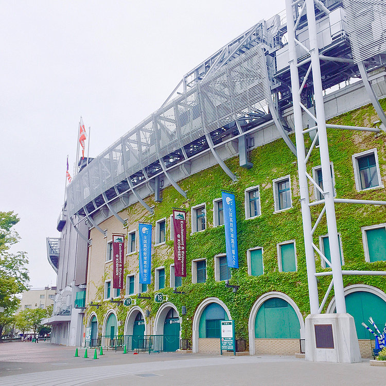 Makiさんの投稿 阪神甲子園球場 ことりっぷ