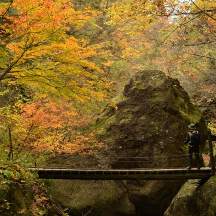 Clip山形さんの投稿 紅葉川渓谷 ことりっぷ