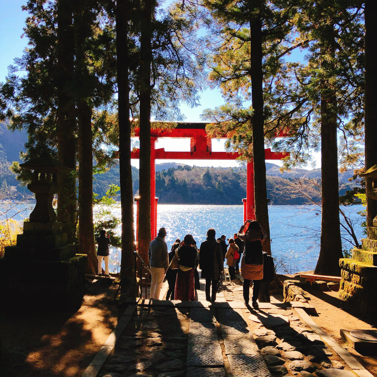 Pecoさんの投稿 箱根神社平和の鳥居 ことりっぷ