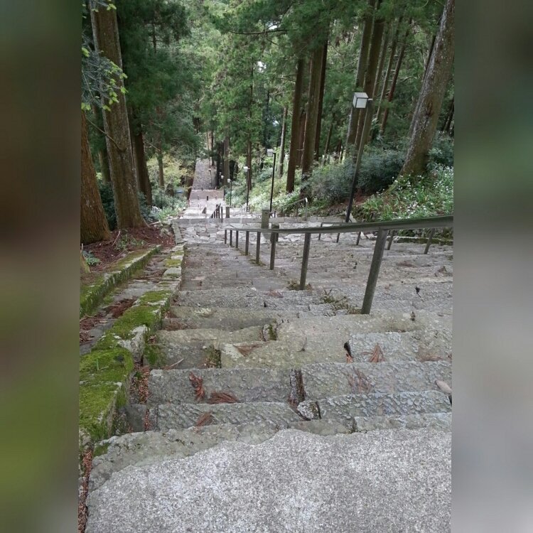 Malteseさんの投稿 身延山久遠寺 ことりっぷ