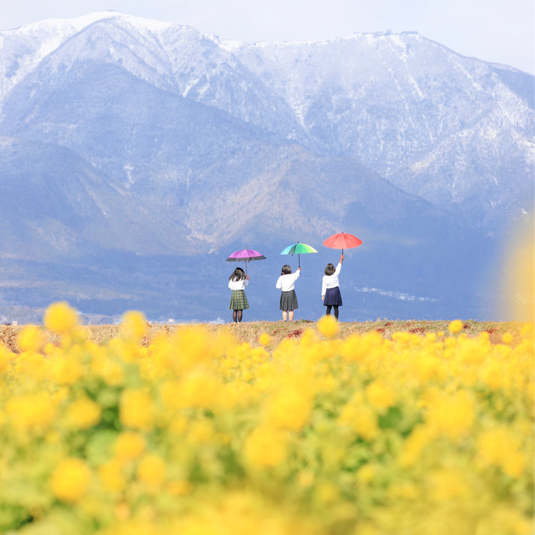 ᴋ ʏ ᴀ ʀ ʏ さんの投稿 守山第一なぎさ公園 ことりっぷ