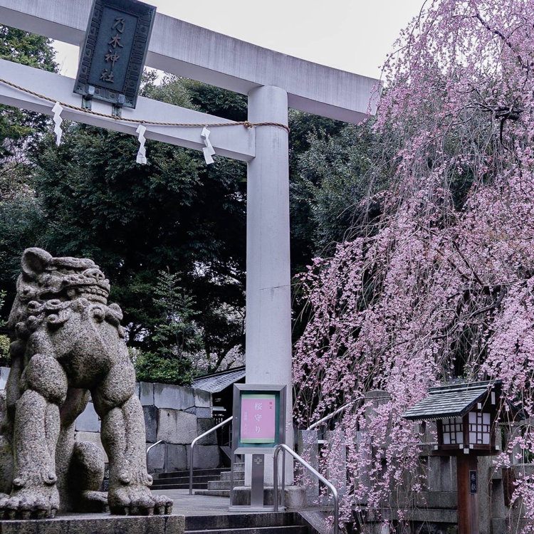 ロビーヌさんの投稿 乃木神社 ことりっぷ ロビーヌさんの投稿 乃木神社 ことりっぷ