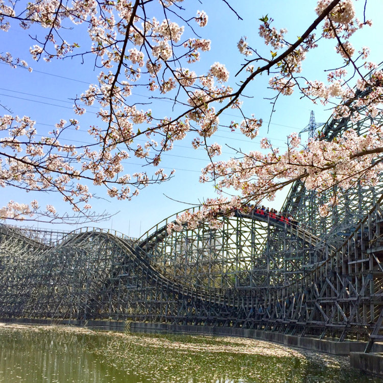 がきんちゃんさんの投稿 東武動物公園 ことりっぷ