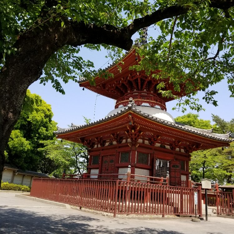 Timefliesさんの投稿 川越大師 喜多院 ことりっぷ
