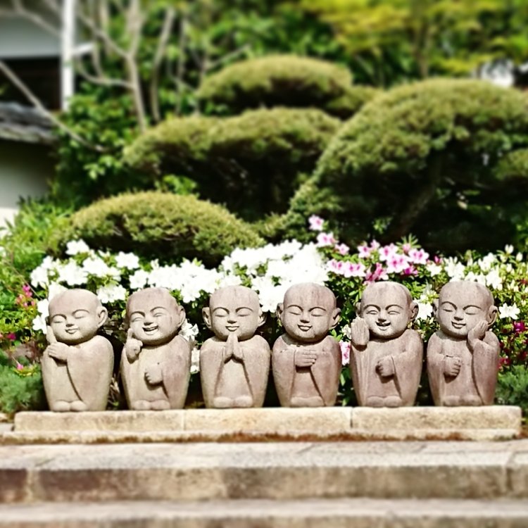 Naonaoaromaさんの投稿 東福寺 霊源院 ことりっぷ