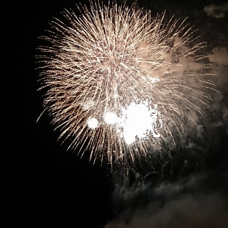 ず くんさんの投稿 和歌山港まつり花火大会 ことりっぷ