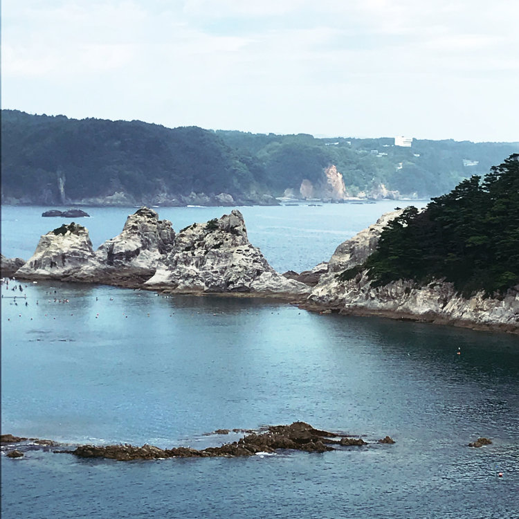 さっちぶうさんの投稿 岩手県宮古市浄土ヶ浜 ことりっぷ