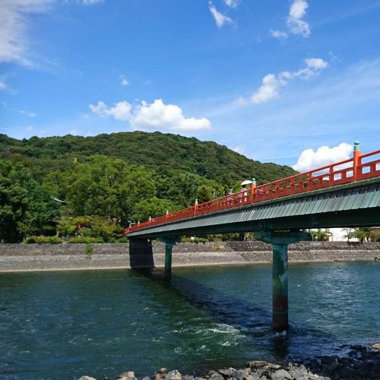 Haru さんの投稿 朝霧橋 ことりっぷ