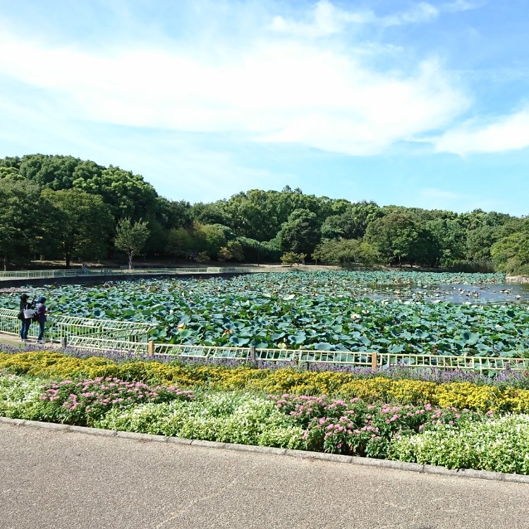 Yaeさんの投稿 大阪市立長居植物園 ことりっぷ