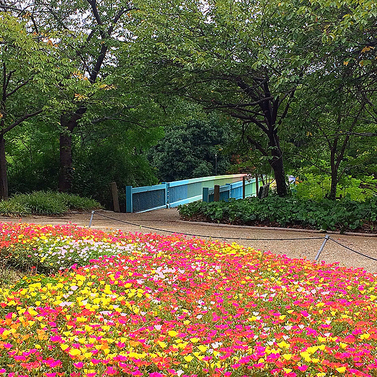 Tenさんの投稿 大阪市立長居植物園 ことりっぷ