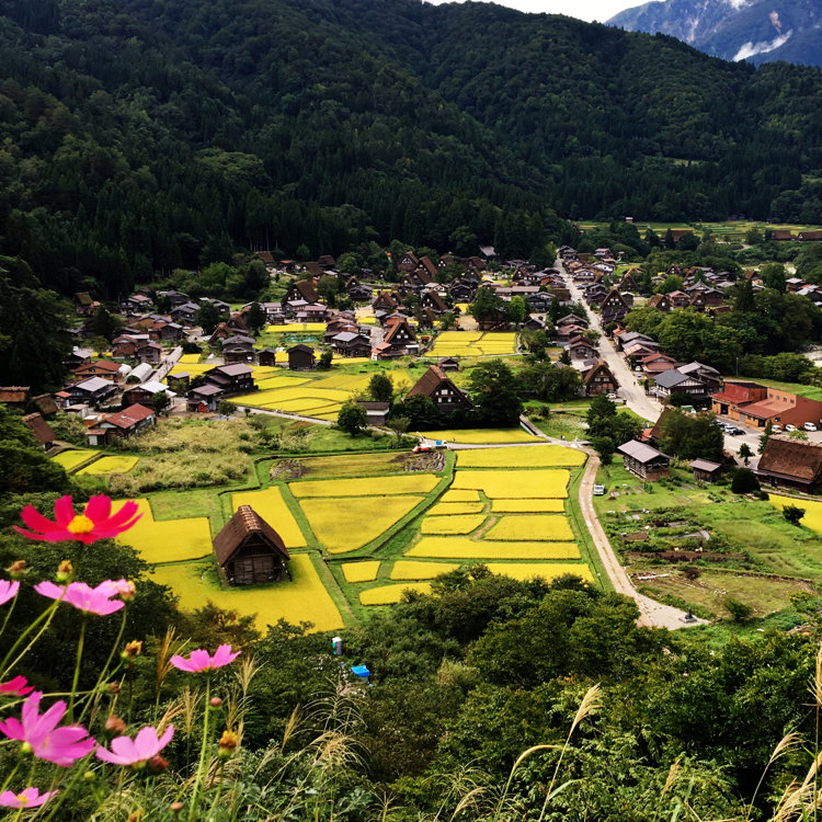 もっくんさんの投稿 荻町城跡展望台 ことりっぷ