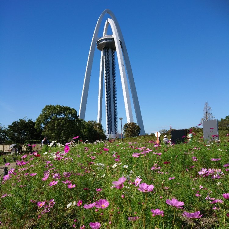 かわへんさんの投稿 国営木曽三川公園 138タワーパーク ことりっぷ