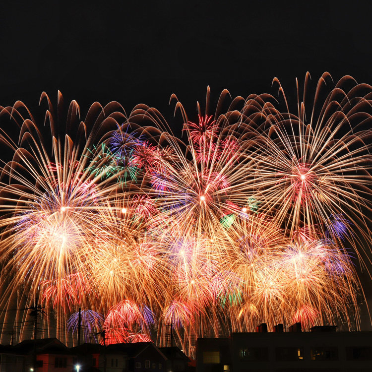 こうのす花火大会　イス席Cブロック2枚連番ジャンル花火大会