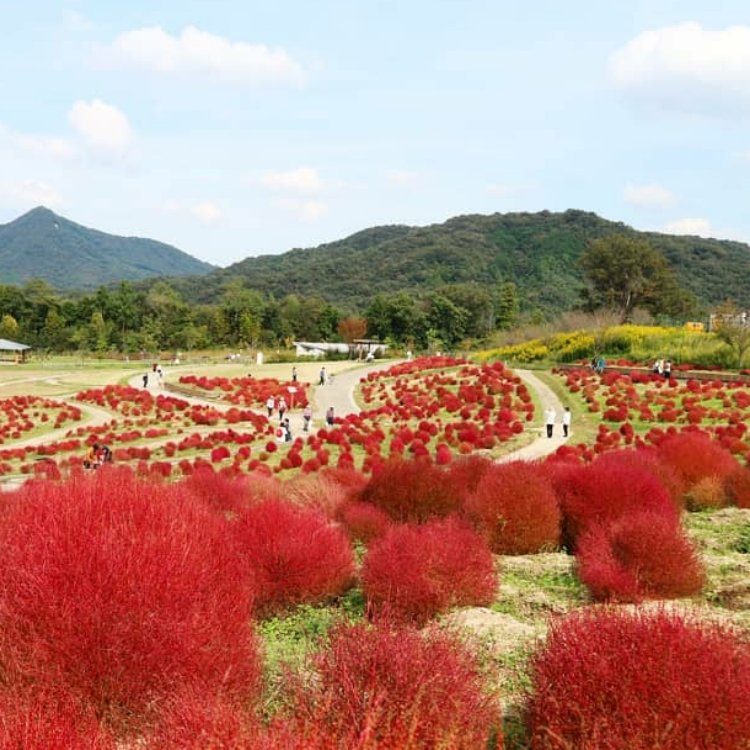 城山城 (讃岐国)