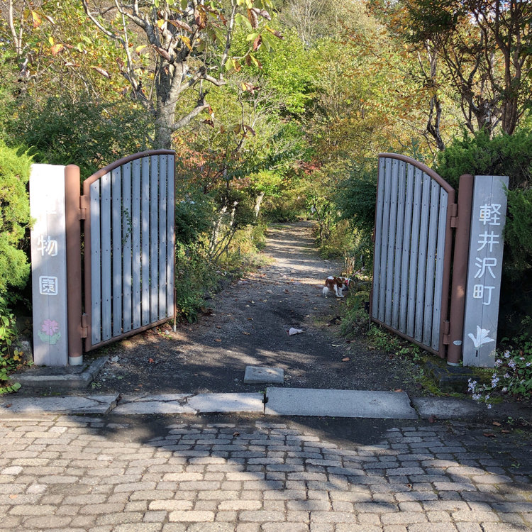 ふふりさんの投稿 軽井沢町植物園 ことりっぷ