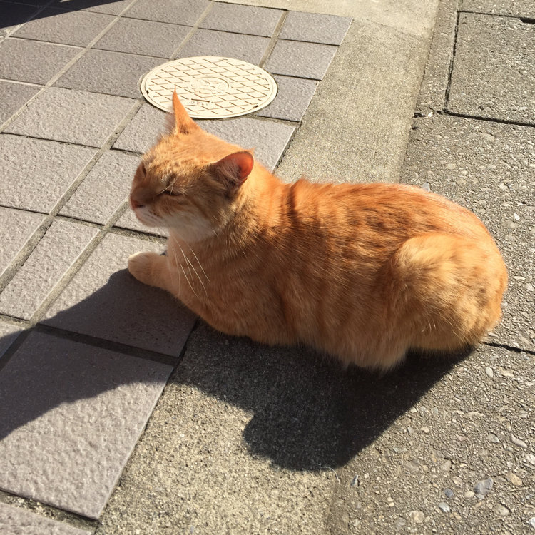 おおたけさんの投稿 伊勢神宮内宮 ことりっぷ