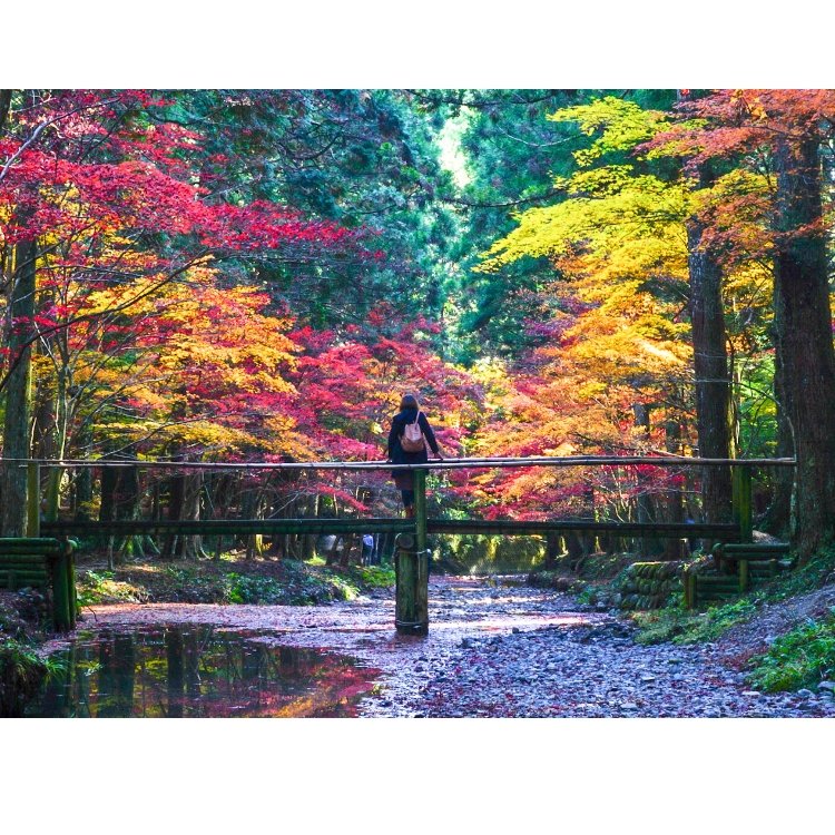 ゆきたかさんの投稿 遠江國一宮 小國神社 ことりっぷ