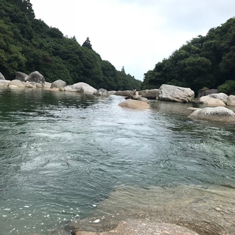 Chihiro Hataさんの投稿 横河渓谷 ことりっぷ