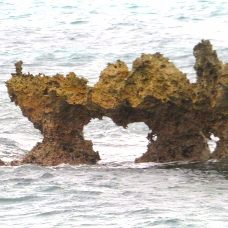 ふらっとクリスさんの投稿 上野ドイツ村ハート岩 ことりっぷ