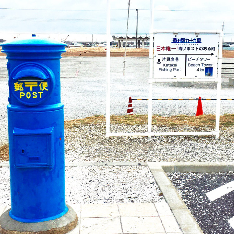 ちば 虹色こまち さんの投稿 海の駅九十九里 ことりっぷ