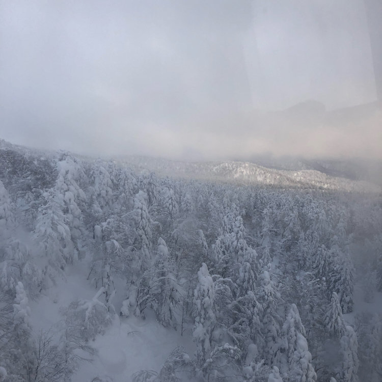 なっこさんの投稿 大雪山旭岳ロープウェイ ことりっぷ