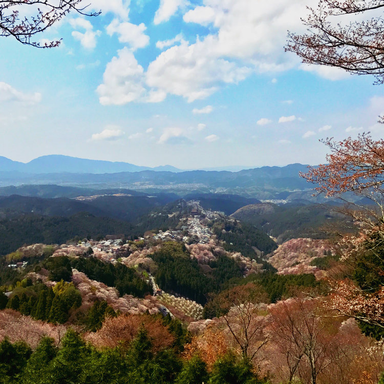 ミナツさんの投稿 花矢倉展望台 ことりっぷ