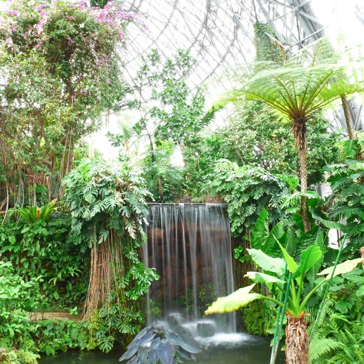 Tropical Bearさんの投稿 夢の島熱帯植物館 ことりっぷ