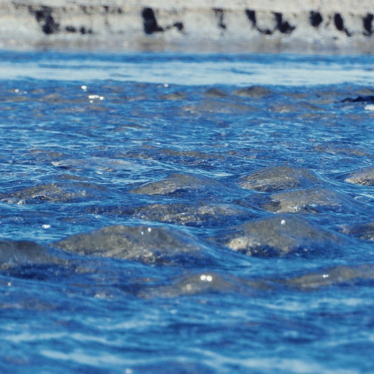 ふらっとクリスさんの投稿 由比ヶ浜海水浴場 ことりっぷ