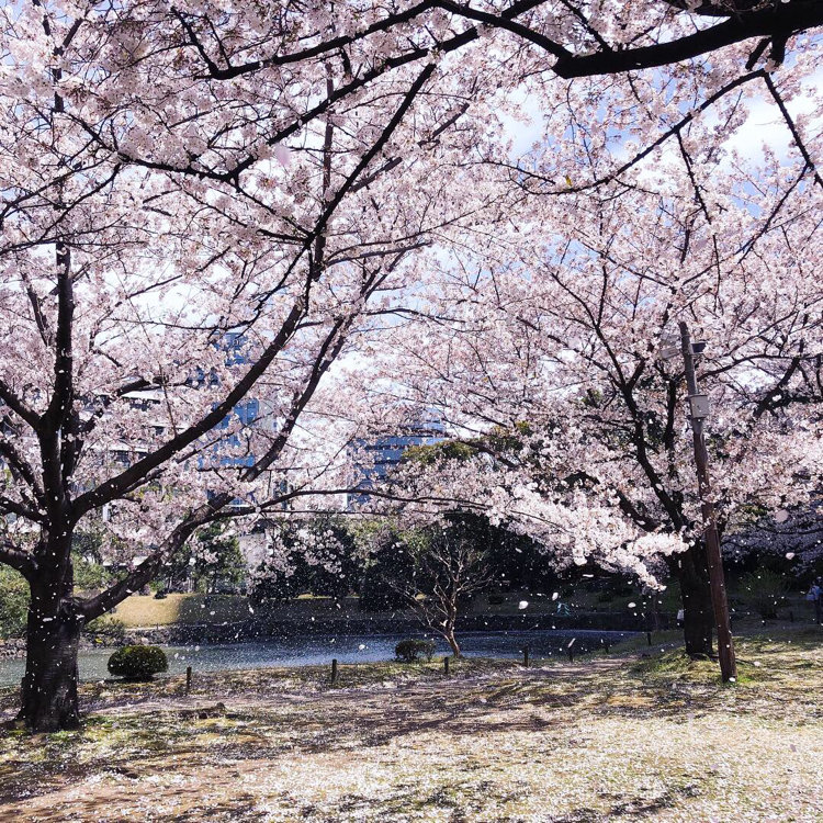 Y U Nさんの投稿 旧芝離宮恩賜庭園 ことりっぷ