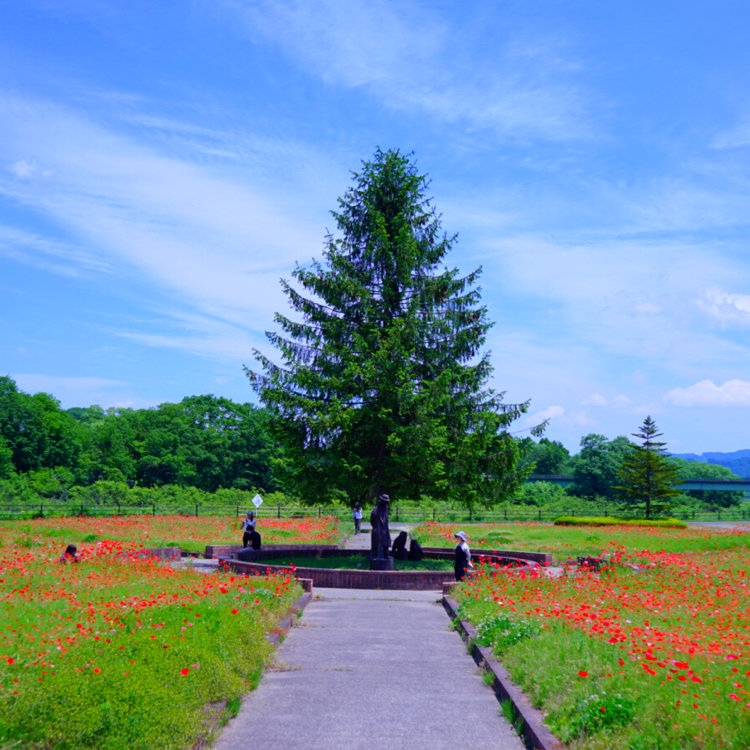 さとうさんの投稿 岩手県立御所湖広域公園 ファミリーランド ことりっぷ